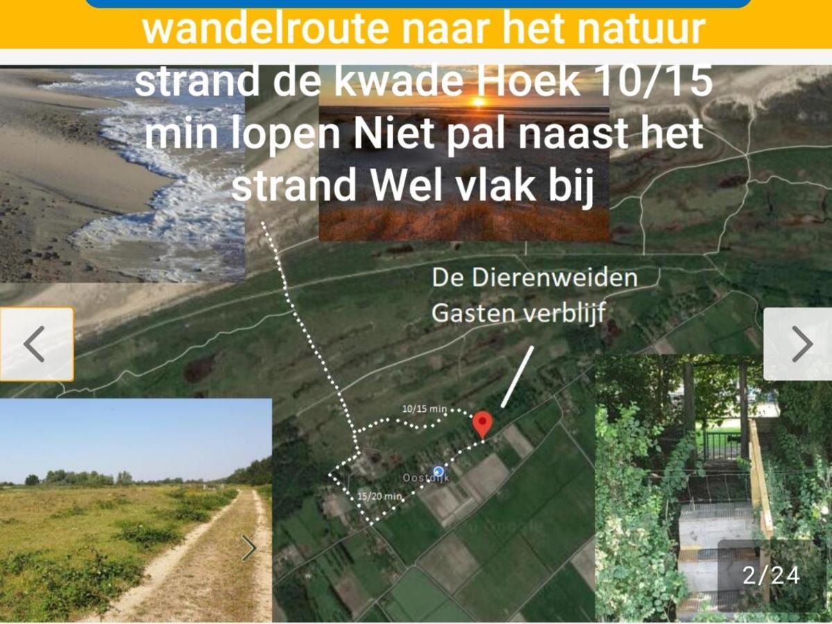 De Dierenweiden Goedereede المظهر الخارجي الصورة