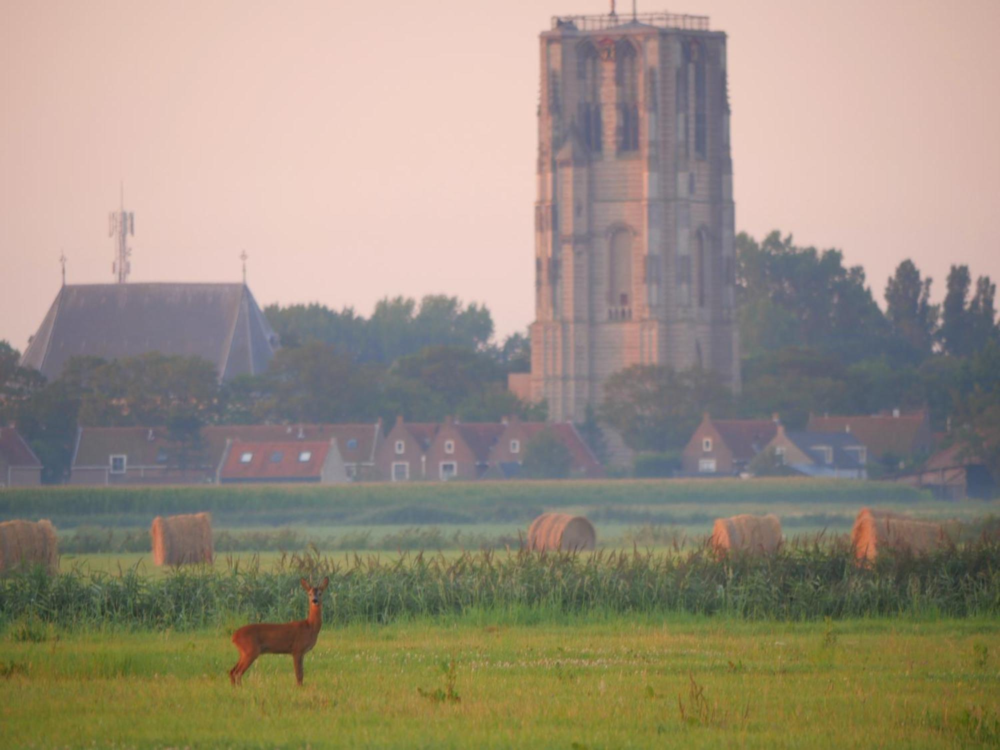 De Dierenweiden Goedereede الغرفة الصورة